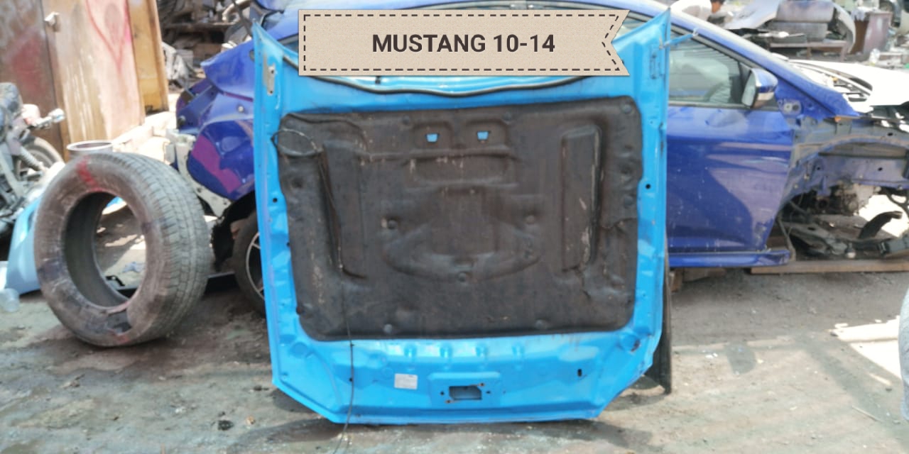 CAPO FORD MUSTANG 2010 AL 2014